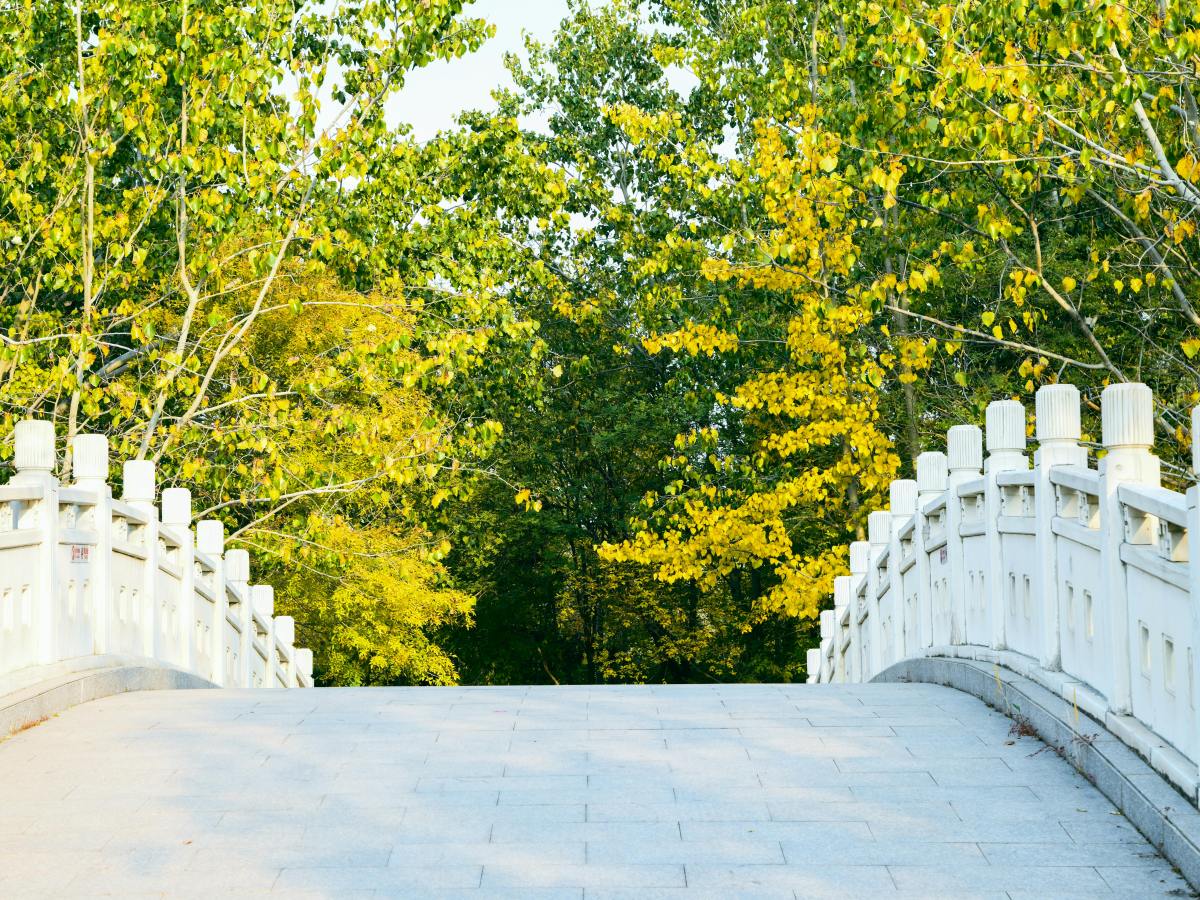 Forgiveness – Bridging Deep&nbsp;Divides