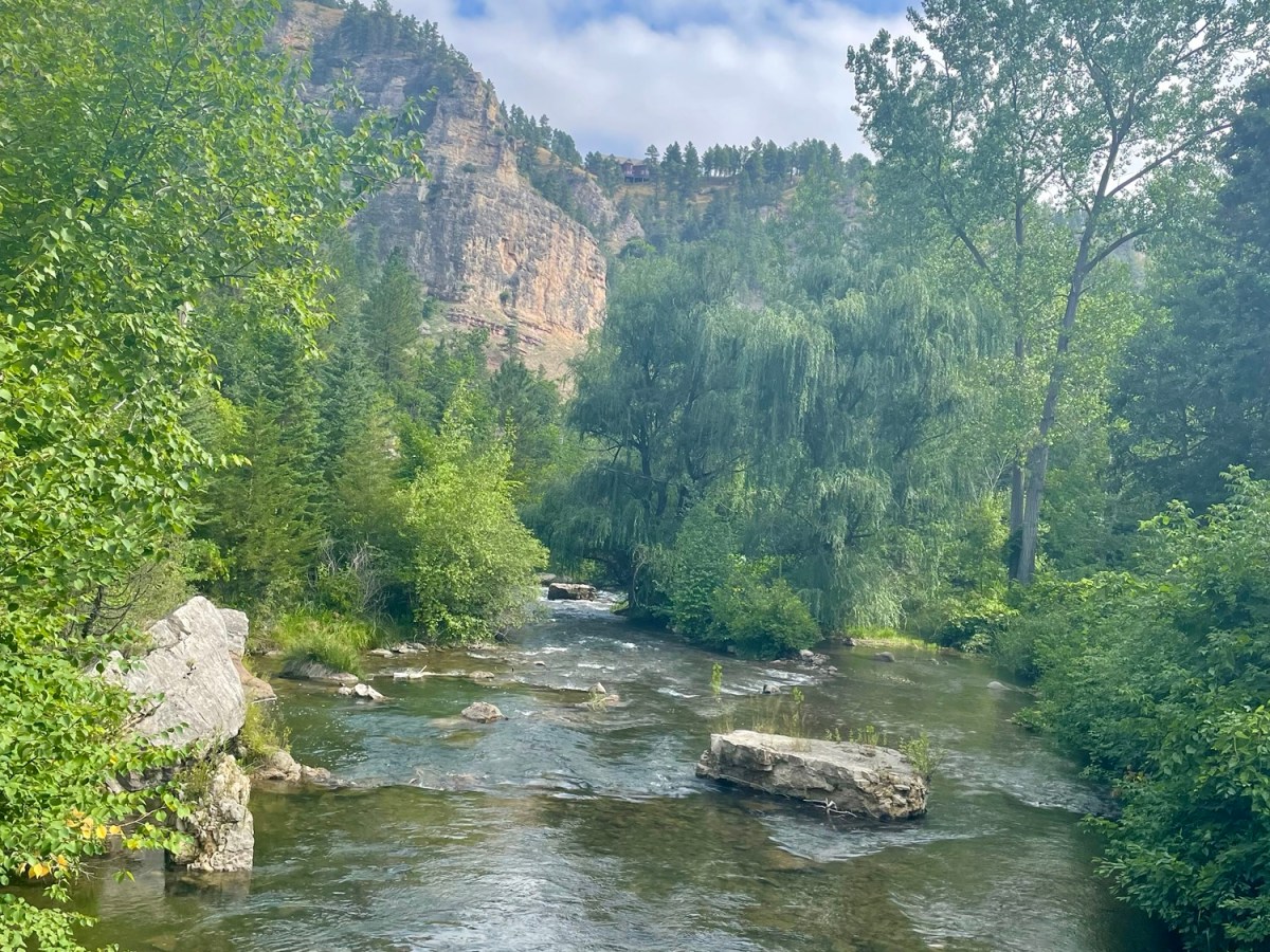 The Joy of Love Is My&nbsp;Strength