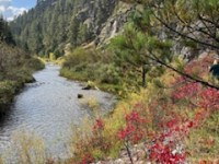 Is Revenge Addiction a Public Health&nbsp;Crisis?